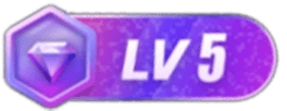 LV5 等级-LV5-阿泽博客站